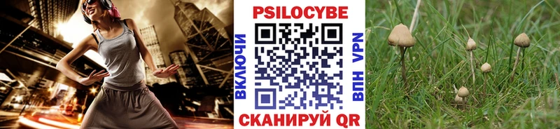 Псилоцибиновые грибы Psilocybine cubensis  Купить  Южа 