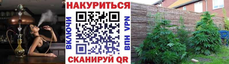 Канабис индика  Купить  Южа 